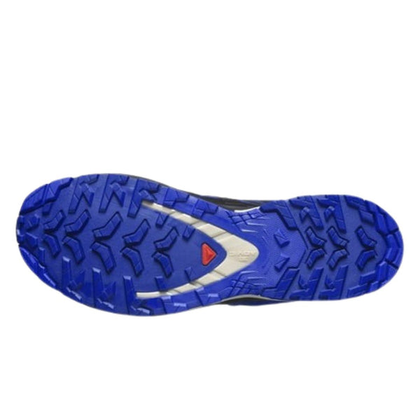 SALOMON salomon XA Pro 3D GTX Men's Hiking Shoes