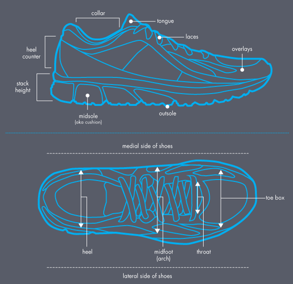 Beginner's Guide to Understanding a Running Shoe - RUNNERS SPORTS