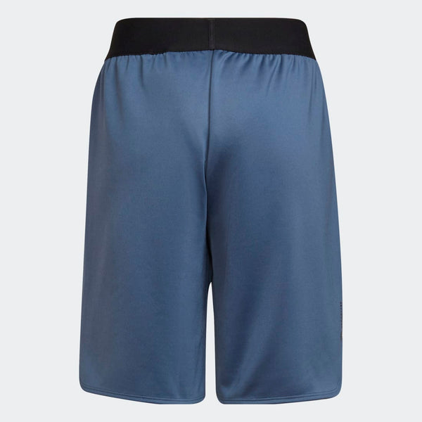 ADIDAS adidas Designed for Sport AEROREADY Kids Training Shorts