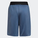 ADIDAS adidas Designed for Sport AEROREADY Kids Training Shorts