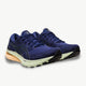ASICS asics Gel-Kayano 29 Runner's Sports Limited Edition Men's Running Shoes