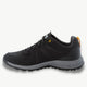 JACK WOLFSKIN jack wolfskin Woodland 2 Texapore Low Men's Hiking Shoes
